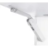 Bela