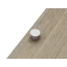 Bela