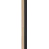Hrast