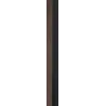 Temni oreh