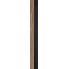 Hrast