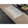 Bela