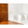 Bela