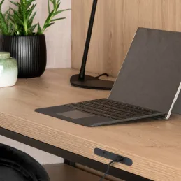 Polnilni modul za pohištvo LINKY USB A+C / mat črna