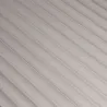 Siva