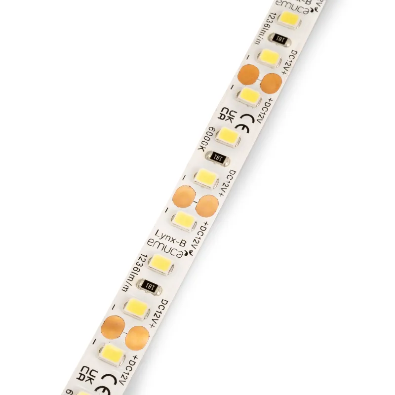 LED trak LYNX Basic – 12 V – 9,6 W – 5 m