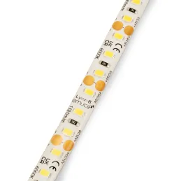 Vodoodporni LED-trak LYNX Basic IP65 – 12 V – 9,6 W – 5 m