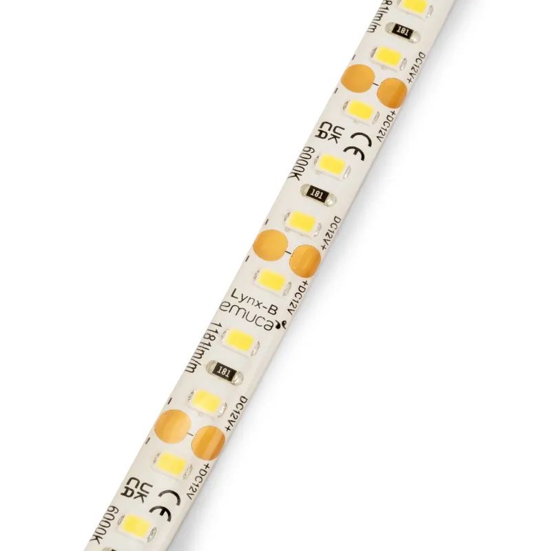 Vodoodporni LED-trak LYNX Basic IP65 – 12 V – 9,6 W – 5 m