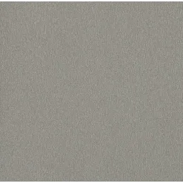 Mizna plošča Aluminij Fino krtačen / F502/ST2