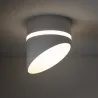 Bela