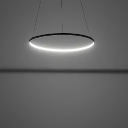 Stropna LED-svetilka CIRCOLO M UNO 600 mm / mat črna