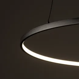 Stropna LED-svetilka CIRCOLO M UNO 600 mm / mat črna