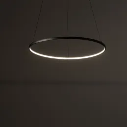 Stropna LED-svetilka CIRCOLO M UNO 600 mm / mat črna