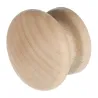 Surova bukev