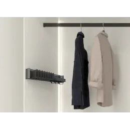 Izvlečni obešalnik za kravate in pasove s posodico CONERO / Črna