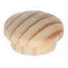 Surovi borovničev les