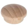 Surova bukev