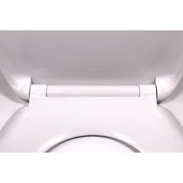 WC-deska z upočasnjenim zapiranjem / Bela