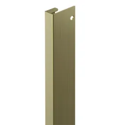 Stranski profil GOLA OVEN za mikrovalovno pečico 580 mm / brušeno zlato