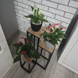 3-delno stojalo za rože GARDEN / Črna – les