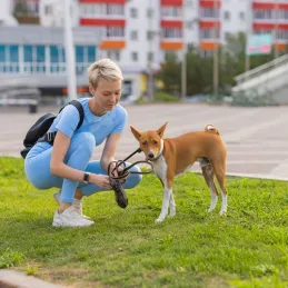 1000 kosov vrečk za pasje iztrebke z etuijem / Črna