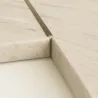Nerjavno jeklo