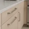 Brušen nikel