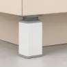 Bela