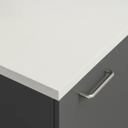 Delovna plošča PFLEIDERER ABS PERFORM 20 mm Svetli kremen / F73009