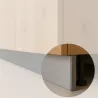 Siva