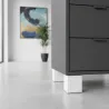Bela