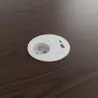 Bela