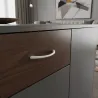 Bela