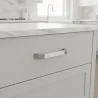 Brušen nikel