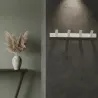 Bela