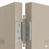Sijajni krom