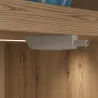 Siva