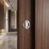 Sijajni krom