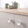 Bela