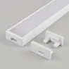 Bela