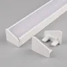 Bela