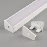 Bela