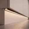 Prozorna