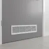 Bela