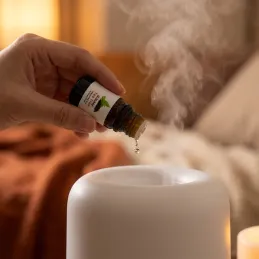 Set 6 kos dišavnih olj za aroma difuzorje / 10 ml