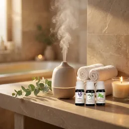 Set 6 kos dišavnih olj za aroma difuzorje / 10 ml