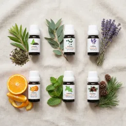 Set 6 kos dišavnih olj za aroma difuzorje / 10 ml