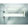 Bela