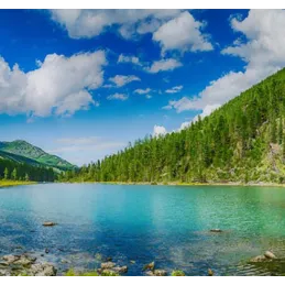 Steklena zaščitna plošča za kuhalno ploščo 600 mm / Panoráma