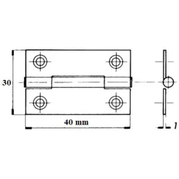 Metuljasti tečaj 40 mm / cink
